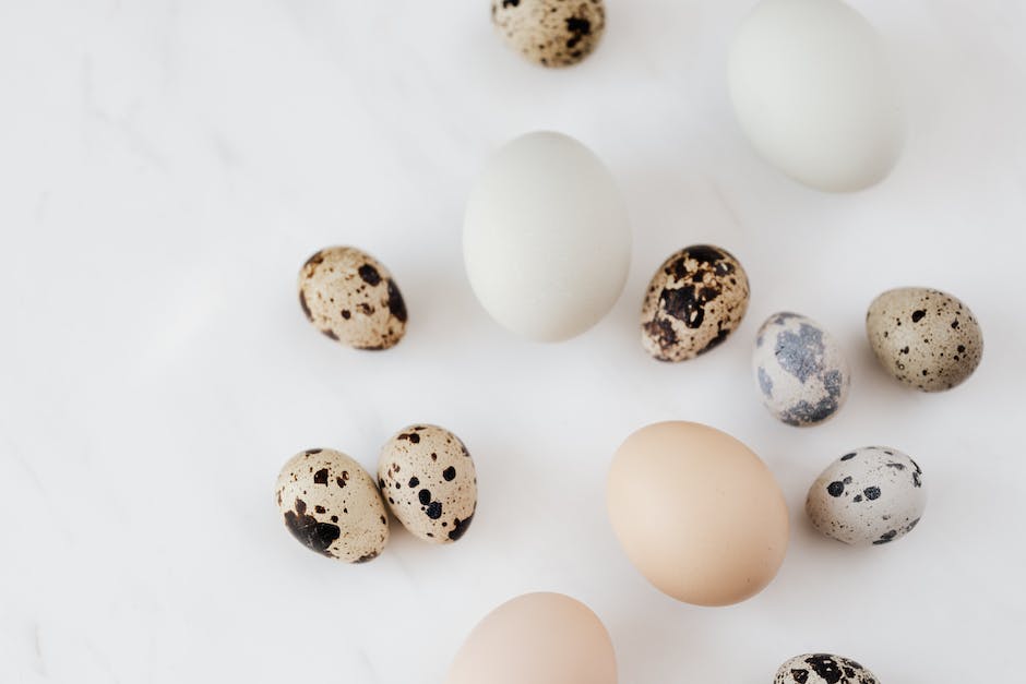 Hühner Eierlegen Beginnen