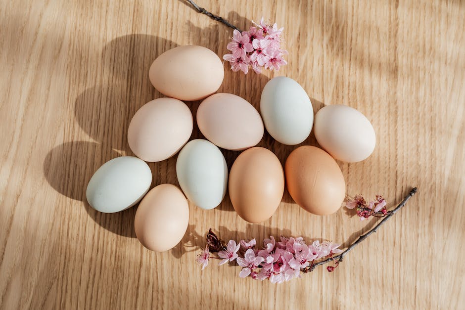  Warum Hühner im Winter keine Eier legen