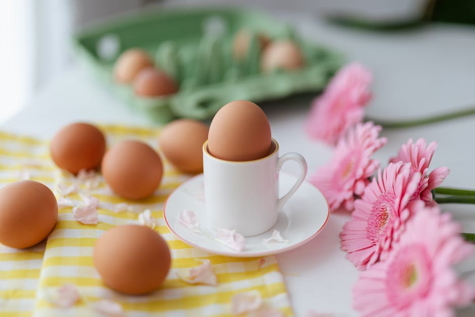  warum legen Hühner Eier?