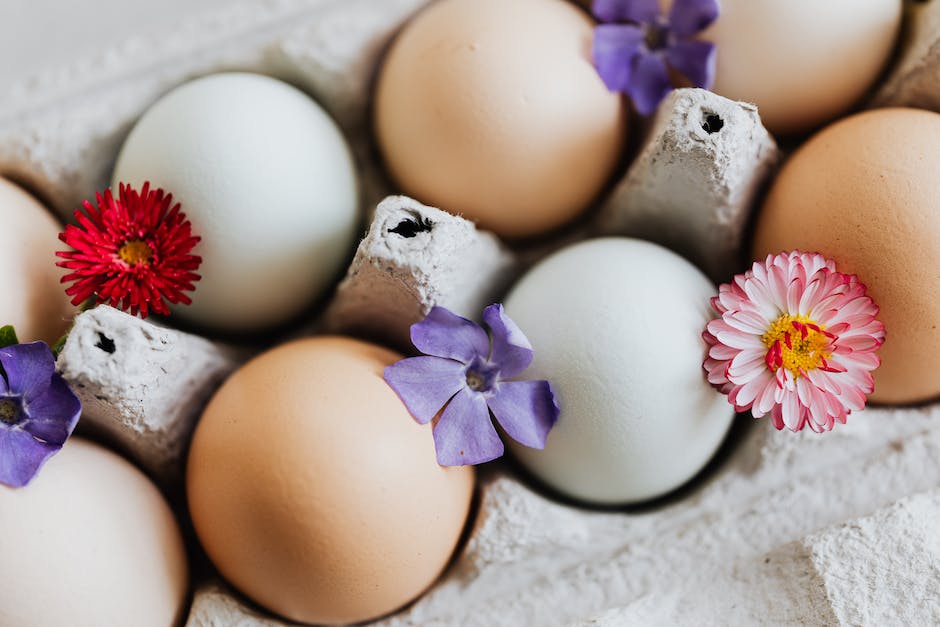  Warum ist es ungesund Eier in den Kühlschrank zu legen?
