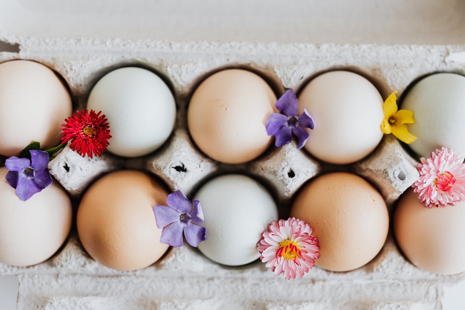  Hühner: Eier Legen in welcher Farbe?