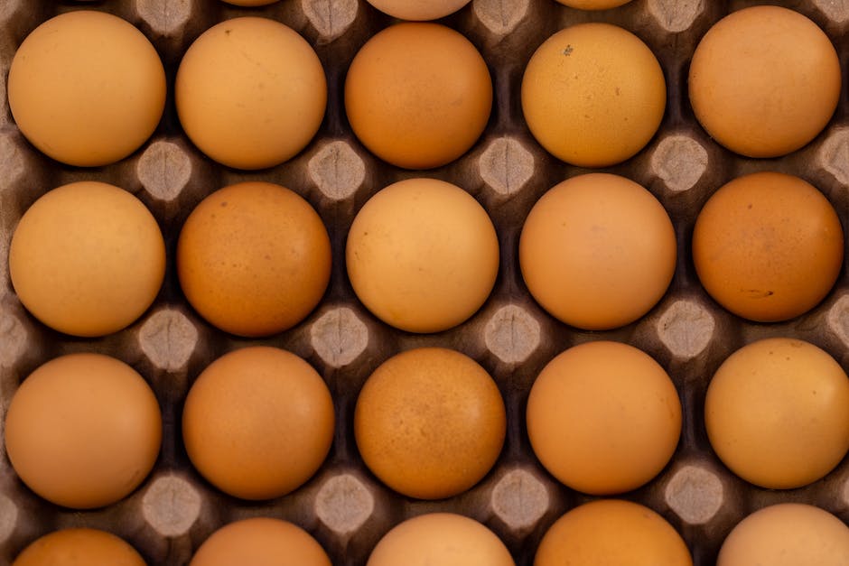 Hühner die Schokobraune Eier Legen