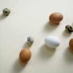 Hühner welche schokobraune Eier legen