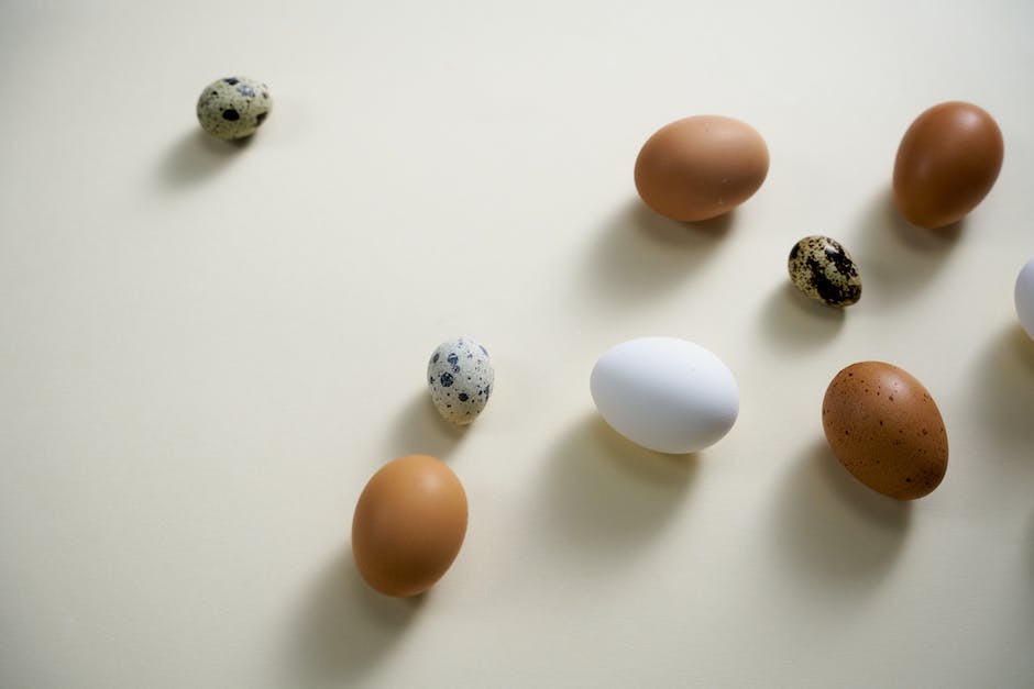Hühner welche schokobraune Eier legen
