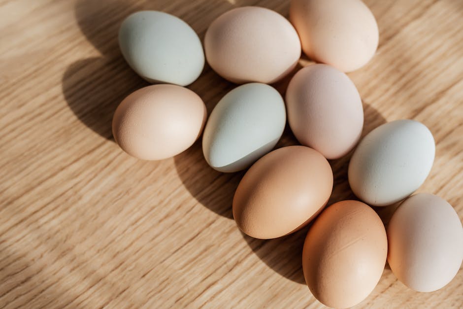 Eierfarbe bei verschiedenen Hühnerrassen