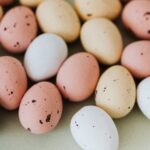 Wie Hühner Eier legen - Anweisungen und Informationen