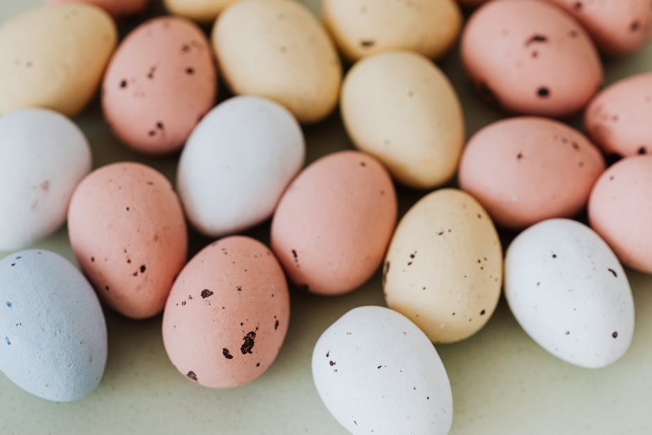 Wie Hühner Eier legen - Anweisungen und Informationen