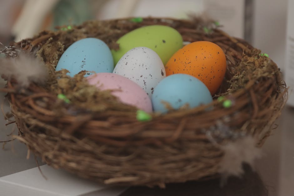 Hühner Eier Produktion - Wie lange können sie legen?