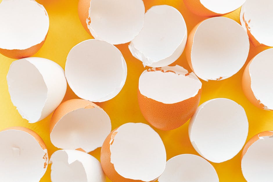  Wie viel Eier legt ein Huhn pro Tag?