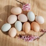 wann legen Hühner Eier