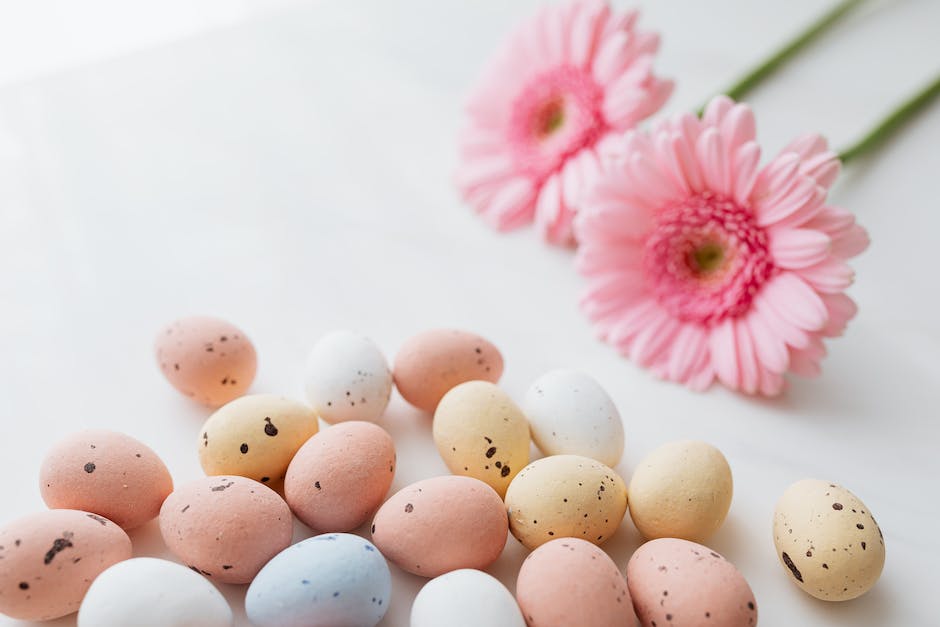  Fliegen legen Eier auf Essen: Warum?