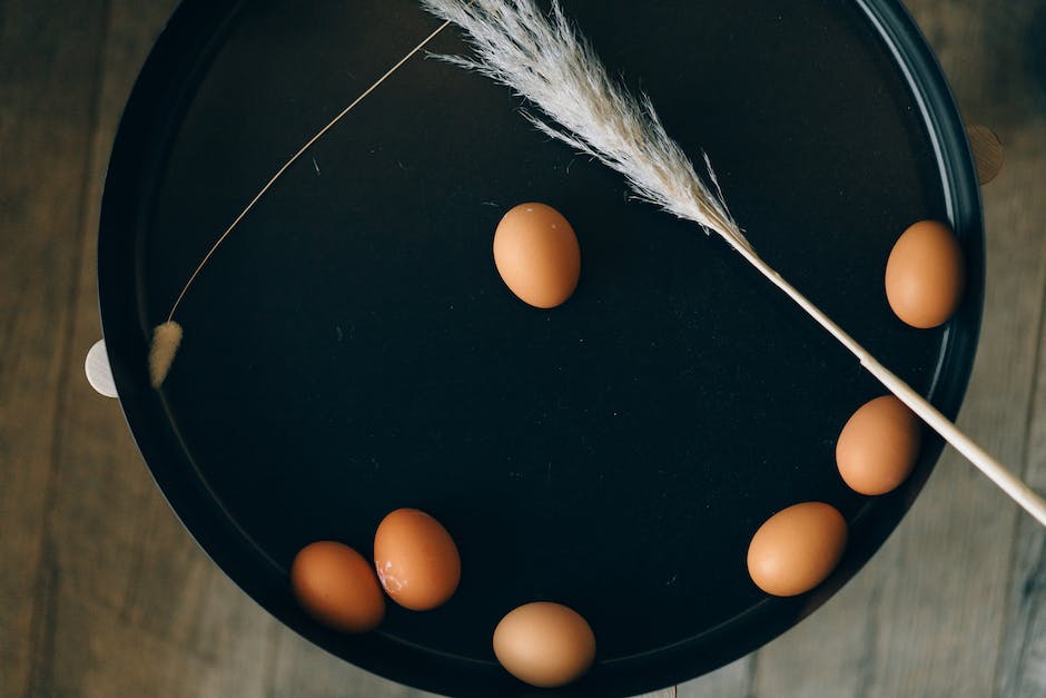  Hühner Ei Produktion erklärt