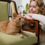 Katzenpfote als Symbol für Bindung und Zuneigung