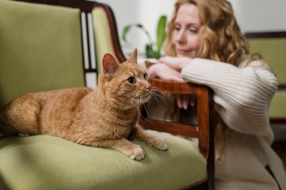 Katzenpfote als Symbol für Bindung und Zuneigung