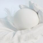 Welche Hühnerrassen legen weiße Eier - Informationen zu den beliebtesten Rassen